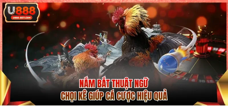 Nắm bắt thuật ngữ chọi kê giúp cá cược hiệu quả